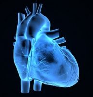 ischaemic heart disease specialists houston Houston Electrophysiology Associates