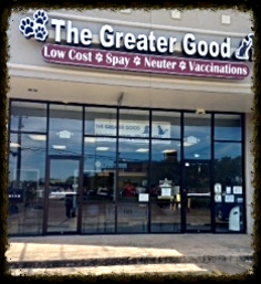 spay neuter clinics houston The Greater Good Low Cost Spay, Neuter, & Vaccinations