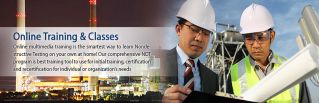 consultants houston NDT Consultancy Services Inc.