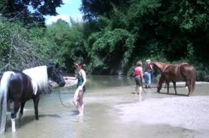 horse riding lessons houston Callegari Equestrian Center