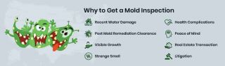 brand manual specialists houston Mold Inspection & Testing Houston TX