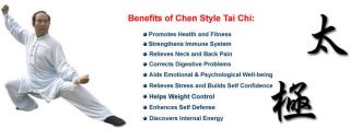 chi kung lessons houston Chen Style Tai Chi
