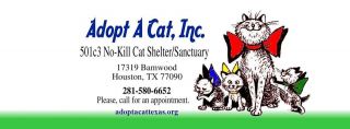 places to adopt cats in houston Adopt A Cat, Inc.
