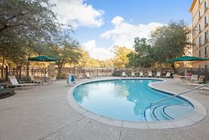 bungalows that allow dogs in houston La Quinta Inn & Suites by Wyndham Houston Galleria Area