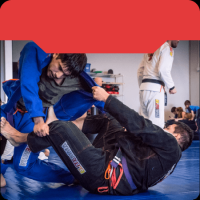 academies to learn self defense in houston Elite Mixed Martial Arts - Houston