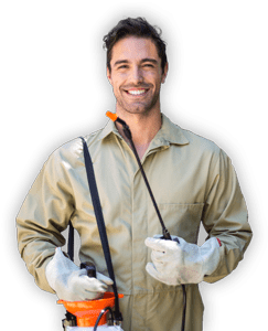 fumigation companies in houston Samson Pest and Termite Services