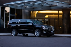 private chauffeur houston Action Limo