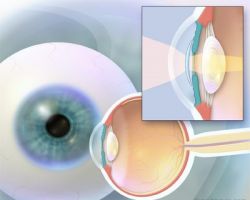 specialized physicians ophthalmology houston Diagnostic Eye Center - Houston Office