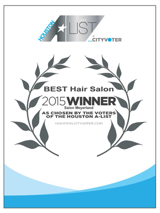 franchises hairdressers houston Salon Meyerland - Relaxed and Natural Black Hair in Houston