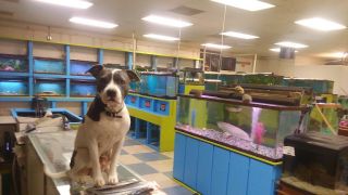 exotic animals stores houston Fish & Pets Ranch