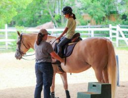 horse riding lessons houston Magic Moments Stable
